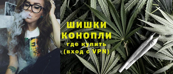прущие грибы Армянск