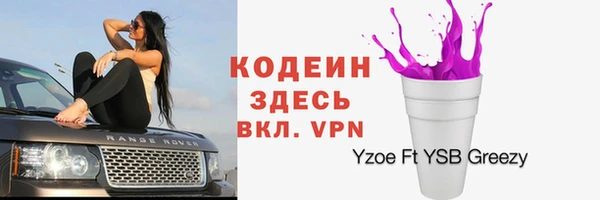 прущие грибы Армянск