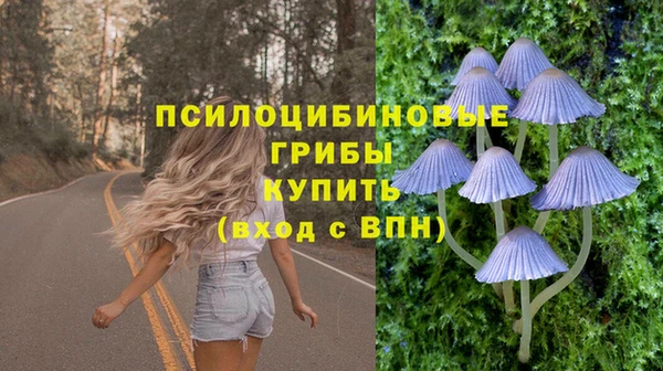 прущие грибы Арсеньев