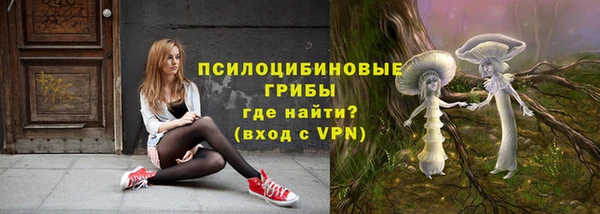 прущие грибы Арсеньев