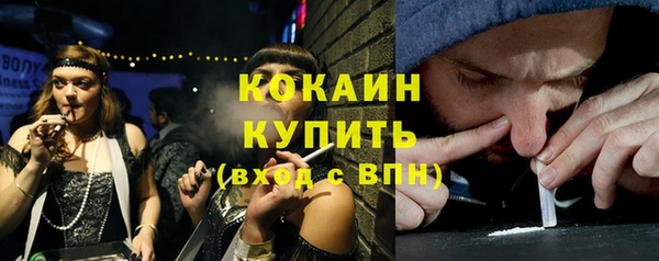 прущие грибы Армянск